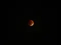 Blood Moon (Total Lunar Eclipse)