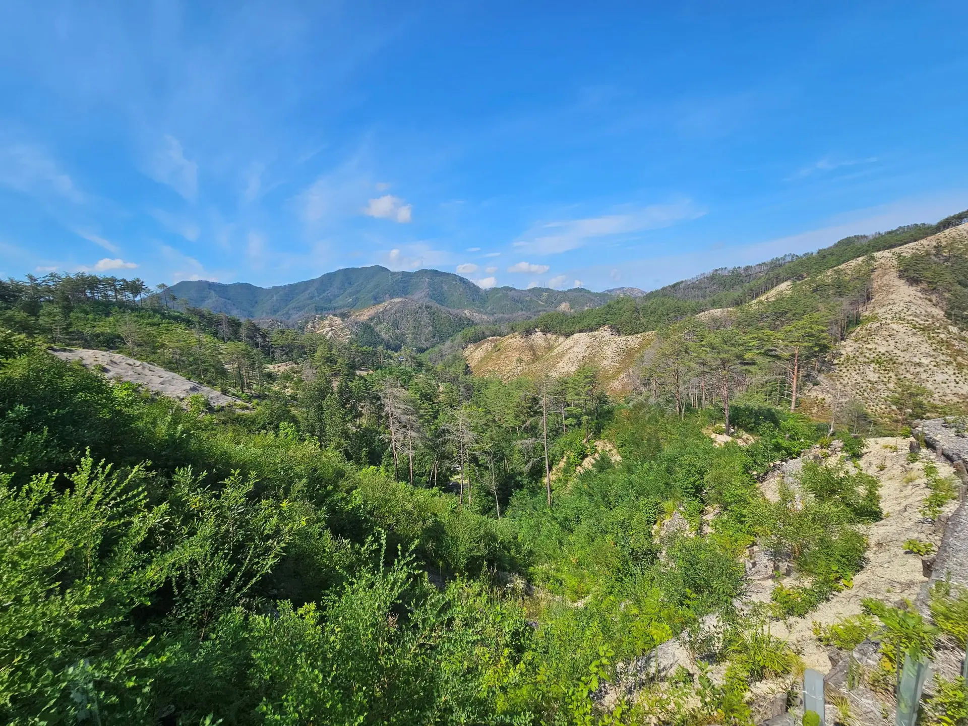 The Forest of Uljin Moves the World Again... Selected as an Outstanding Case at the 2nd World Restoration Conference