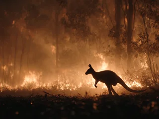 [집중기획] 2026년 세계 산불 달력, 그을린 미래를 직시하다