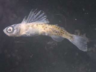 뜨거워지는 바다, 생태계 전환의 길목에 선 한국 수산업