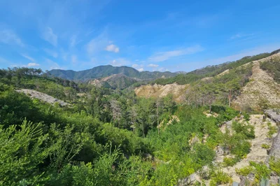 The Forest of Uljin Moves the World Again... Selected as an Outstanding Case at the 2nd World Restoration Conference