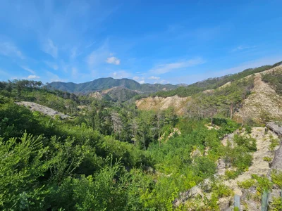 The Forest of Uljin Moves the World Again... Selected as an Outstanding Case at the 2nd World Restoration Conference