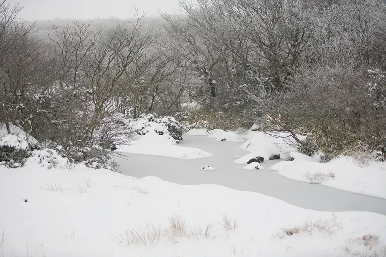 Gangwon Yeongdong region with heavy snowfall in winter