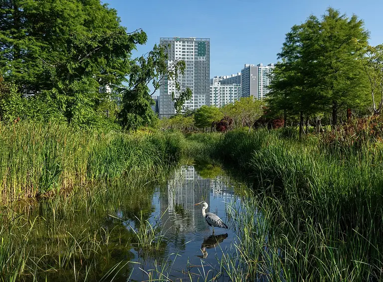 Busan Citizens Park / / ⓒ Wikimedia Commons- Ardea cinerea