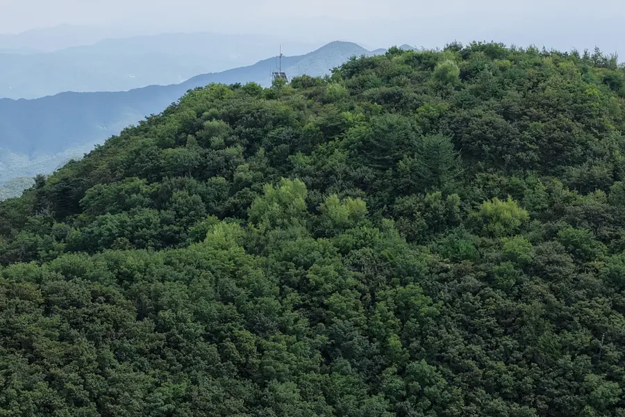 Blick auf den Wiederherstellungsbereich von Kimcheon Baramja / Bereitgestellt von der Forstbehörde